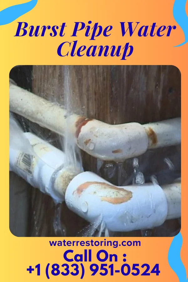 Burst Pipe Water Cleanup in Upper Montclair, NJ