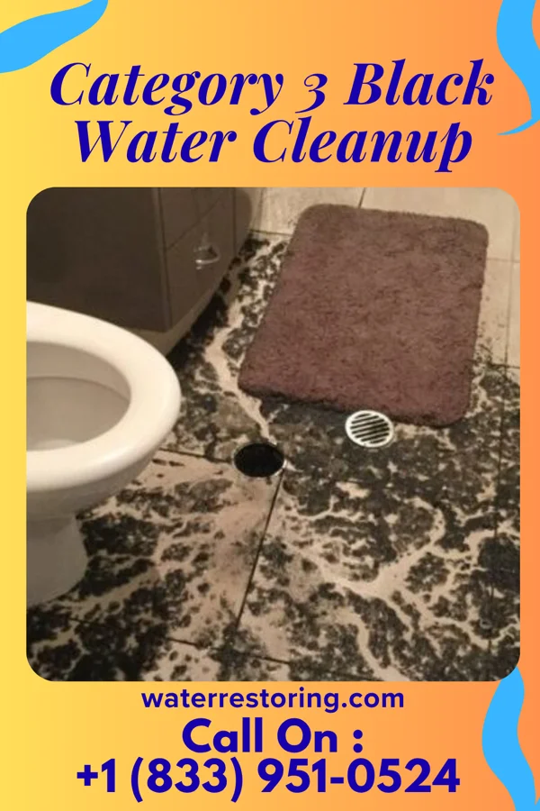 Category 3 Black Water Cleanup in Upper Montclair, NJ