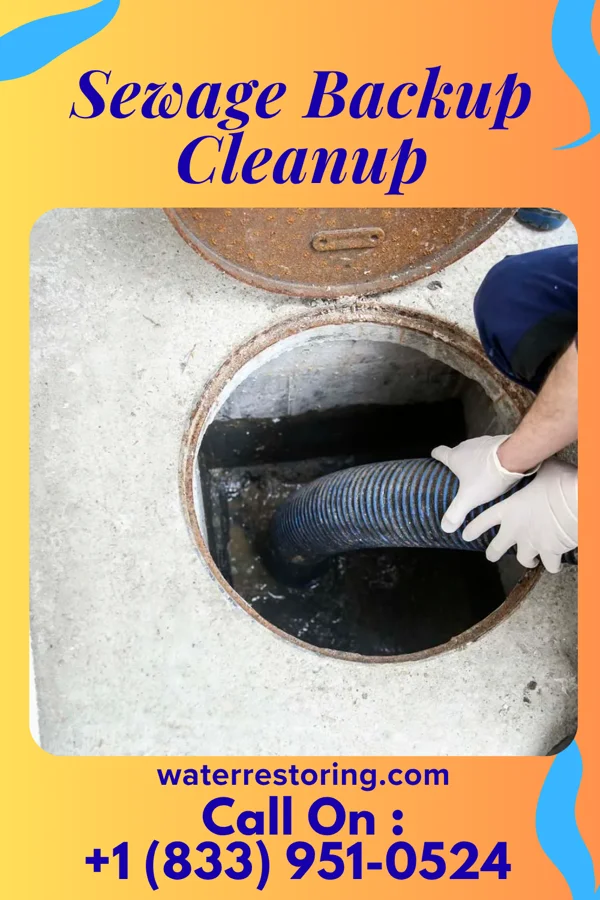 Sewage Backup Cleanup in Upper Montclair, NJ