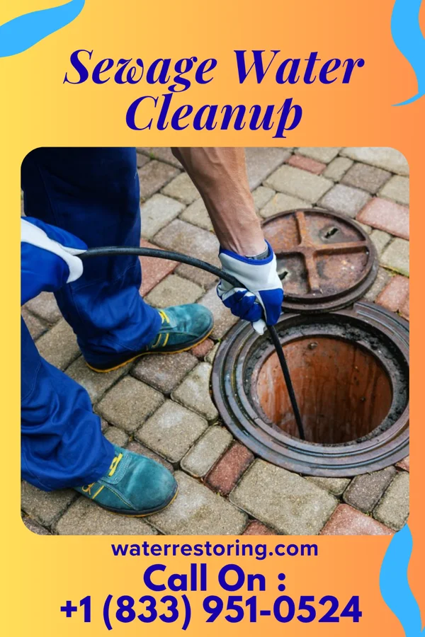 Sewage Water Cleanup in Upper Montclair, NJ
